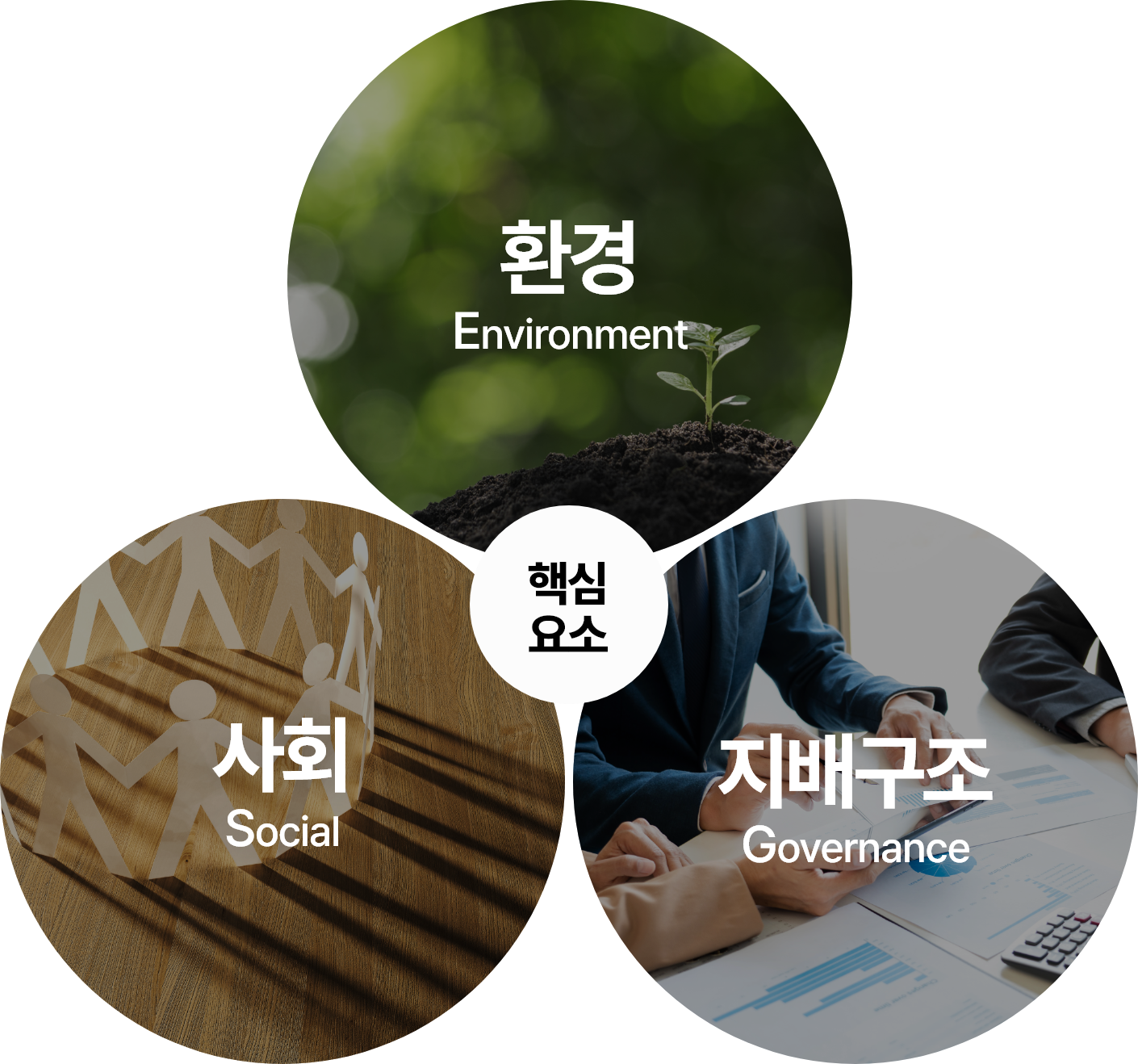 ٽɿ: ȯ(Environment), ȸ(Social), 豸(Governance)